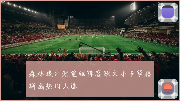 森林狼计划重组阵容欧文小卡萨格斯成热门人选